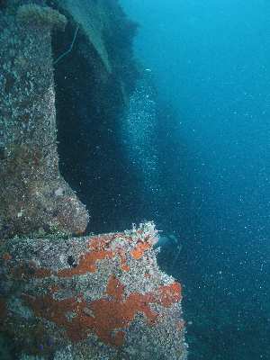 Hoyo Maru break